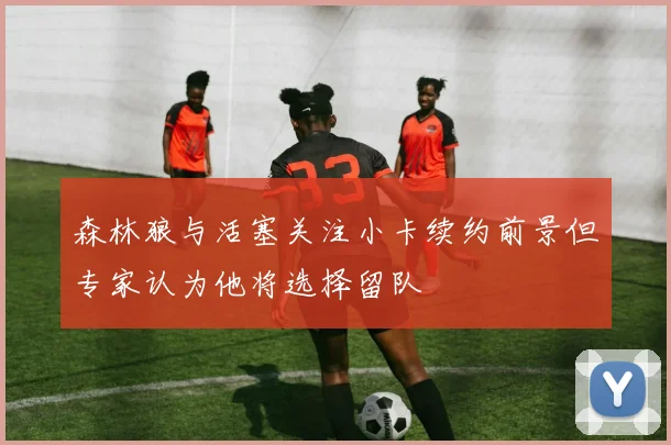 森林狼与活塞关注小卡续约前景但专家认为他将选择留队