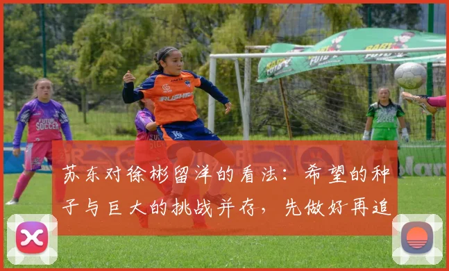 苏东对徐彬留洋的看法：希望的种子与巨大的挑战并存，先做好再追求完美